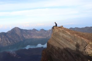 Há cinco anos, descobri que era possível viajar o mundo e trabalhar em Iates de luxo, uma mudança que transformou minha vida.